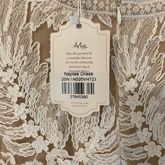 Ivy City Co White Lace Long Sleeve Dress - Picture 3 of 5